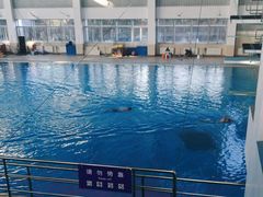 -清华大学-陈明游泳馆