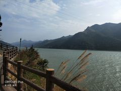 -羚羊峡古栈道森林公园