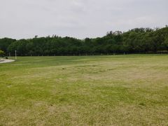 -泰丰公园