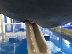 -上海海洋大学鱼文化博物馆(军工路校区)