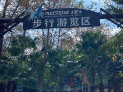 -海南热带野生动植物园