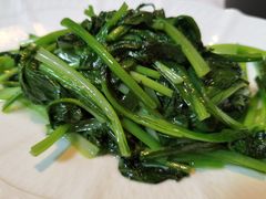 -西郊5号·Maggie 5