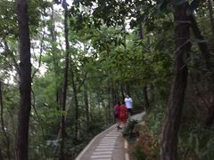 -仙岳公园