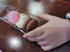 马卡龙-1868 Café(上海自然博物馆店)