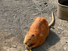 -水上乐园·欢乐世界