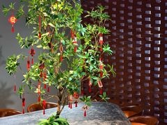 -HITEA嘆萃(北江新区店)