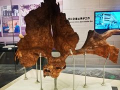 -北京周口店北京人遗址博物馆