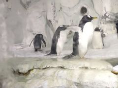 -南昌海洋公园