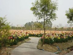 -广东花都香草世界旅游度假区