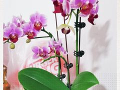 -公园前(地铁站)