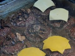 -龙湖重庆时代天街