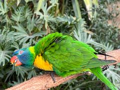 -南宫五洲植物乐园