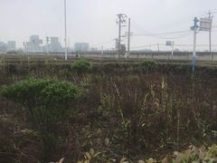 -安飞驰驾校·学车连锁(金高店)