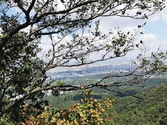 -紫金山天文台