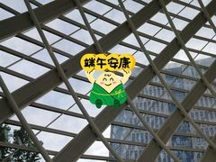 -凤凰中心
