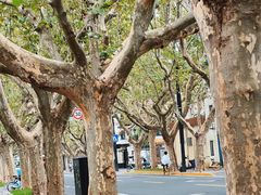 -一尺花园(安和花园店)