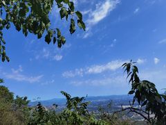-阳台山自然风景区