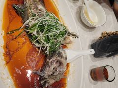 -大东海海鲜酒楼(渔人码头总店)