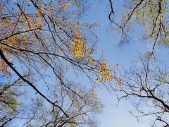 -叠溪松坪沟景区