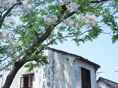 -绍兴书圣故里景区