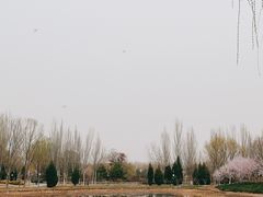-北坞公园