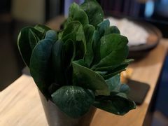 -新草堂锅物料理(泉城路店)