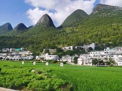 -明仕田园