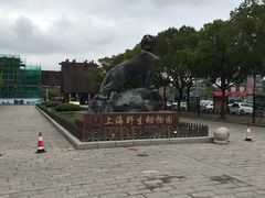 -野生动物园-停车场