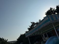 -日照海滨国家森林公园