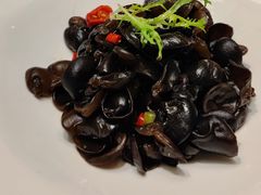 凉拌木耳-宝燕壹号(徐汇店)