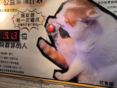 -平行世界·猫咖(首经贸店)