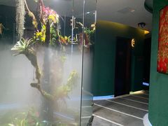-泰悠谷养生SPA(世茂商业街店)