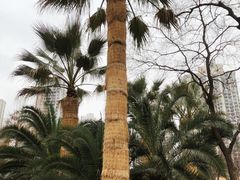 -苏州河梦清园环保主题公园