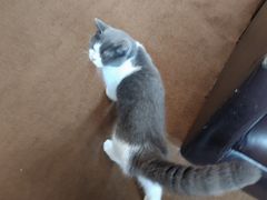 -第三空间·趣味桌游·轰趴.室内CS.剧本杀(大武汉1911店)