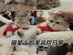 -成都银泰城