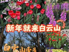 -白云山索道-售票处