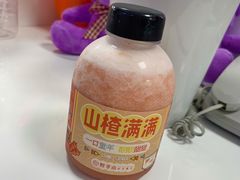 -野萃山·潮汕厚果汁(十亩地店)