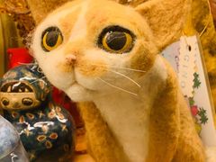 -六月花园咖啡馆(中关村东路店)