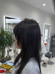 -FINE HAIR 烫染专业设计