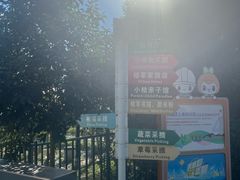 -前小桔亲子创意农场·草莓采摘·露营烧烤