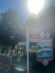 -前小桔亲子创意农场·草莓采摘·露营烧烤