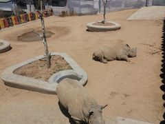 -西霞口神雕山野生动物世界