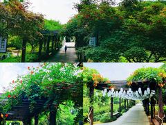 -白马涧龙池景区