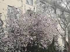 -济南南郊宾馆