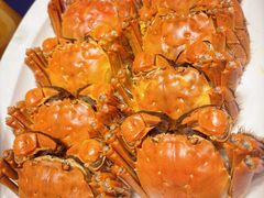 -百盛·鼎膳(中海财富中心)