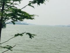 -艾溪湖湿地公园