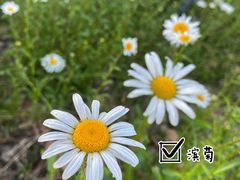 -虎丘湿地公园