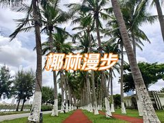 -万绿园