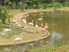 -杭州野生动物世界