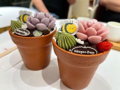 -哈根达斯(龙湖时代天街店)